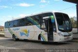 Transporte Argenta - Argentur 950 na cidade de Cachoeira do Sul, Rio Grande do Sul, Brasil, por Daniel Espindola Dorneles. Número da foto: #3746772.