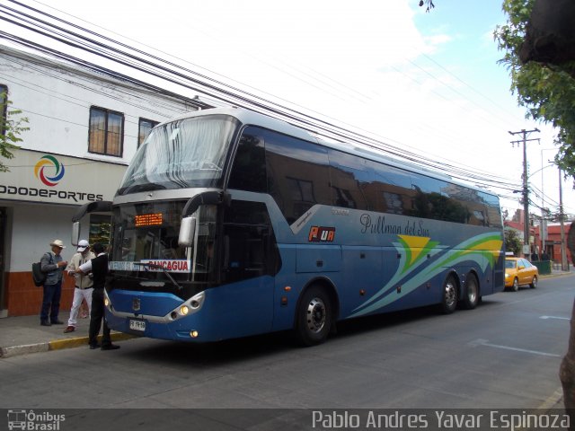 Pullman del Sur 202 na cidade de Santa Cruz, Colchagua, Libertador General Bernardo O'Higgins, Chile, por Pablo Andres Yavar Espinoza. Número da foto: #3790589.