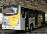 Allibus Transportes 4 5025 na cidade de São Paulo, São Paulo, Brasil, por Vinicius Oliveira Nascimento. Número da foto: #3803475.