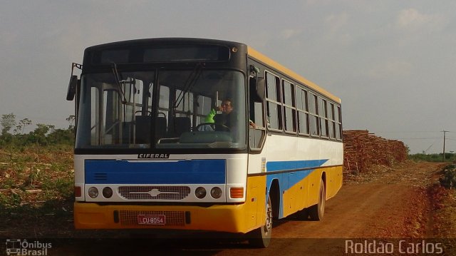 Monte Hebron Turismo 8054 na cidade de Cidelândia, Maranhão, Brasil, por Roldão Carlos  Andrade Lima. Número da foto: #3807090.