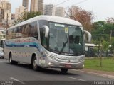 Ribe Transporte 1360 na cidade de Ribeirão Preto, São Paulo, Brasil, por Erwin  Luiz. Número da foto: #3806730.