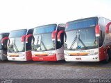 Rápido D´Oeste 3590 na cidade de Guarulhos, São Paulo, Brasil, por Atilio Torres. Número da foto: #3809557.