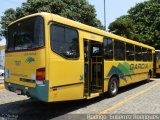 Viação Garcia 7507 na cidade de Maringá, Paraná, Brasil, por Rodrigo  Gutierrez Rodrigues. Número da foto: #3751930.