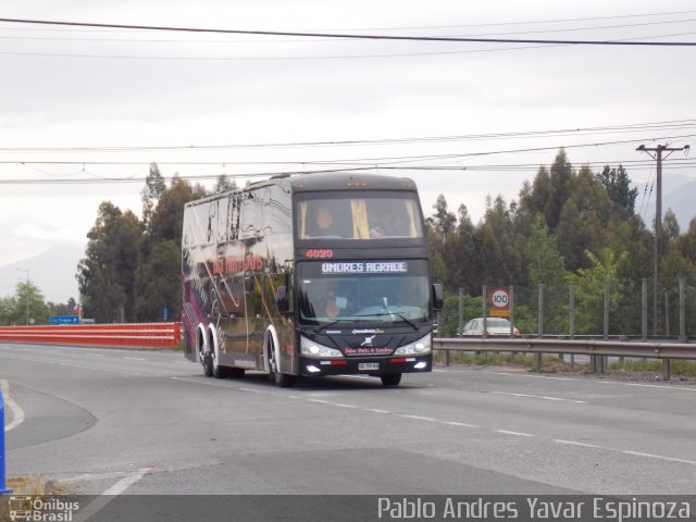 TPL - Talca París y Londres 4020 na cidade de San Fernando, Colchagua, Libertador General Bernardo O'Higgins, Chile, por Pablo Andres Yavar Espinoza. Número da foto: #3752631.
