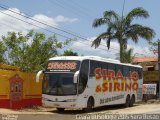 Sirano e Sirino 8429 na cidade de Maranguape, Ceará, Brasil, por Antonio Roberto Alves da Silva. Número da foto: #3758477.