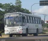 Transdutra Transporte 20 na cidade de Vera Cruz, Bahia, Brasil, por Carlos  Henrique. ID da foto: :id.