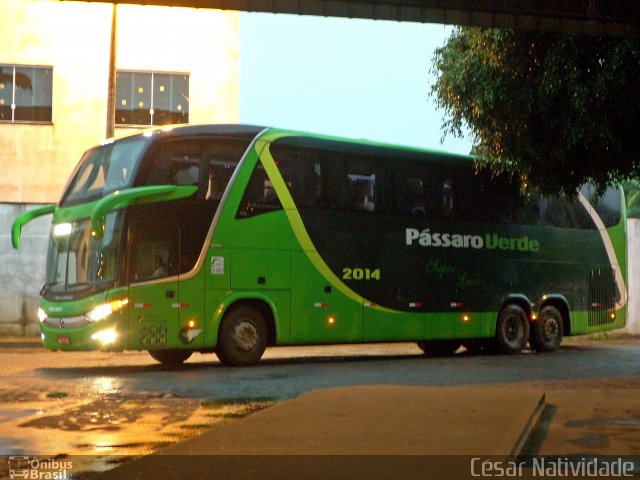 Pássaro Verde 2014 na cidade de Ponte Nova, Minas Gerais, Brasil, por César Natividade. Número da foto: #3834921.