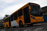 Caio Induscar S/N na cidade de Botucatu, São Paulo, Brasil, por Douglas Alencar. Número da foto: #3838286.
