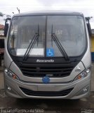 Allibus Transportes GRAN MICRO 2013 na cidade de São Paulo, São Paulo, Brasil, por Luciano Ferreira da Silva. Número da foto: #3845254.
