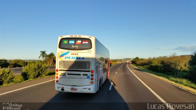 Pluma Conforto e Turismo 7011 na cidade de Curitiba, Paraná, Brasil, por Lucas Piovesan. ID da foto: 3813831.