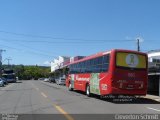 Primatur - Primavera Transportes 580 na cidade de Santa Cruz do Sul, Rio Grande do Sul, Brasil, por Cleverton Schmitt. Número da foto: #3855354.