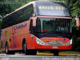 Chilebus Internacional 221 na cidade de São Paulo, São Paulo, Brasil, por Rafael Santos. Número da foto: #3854418.