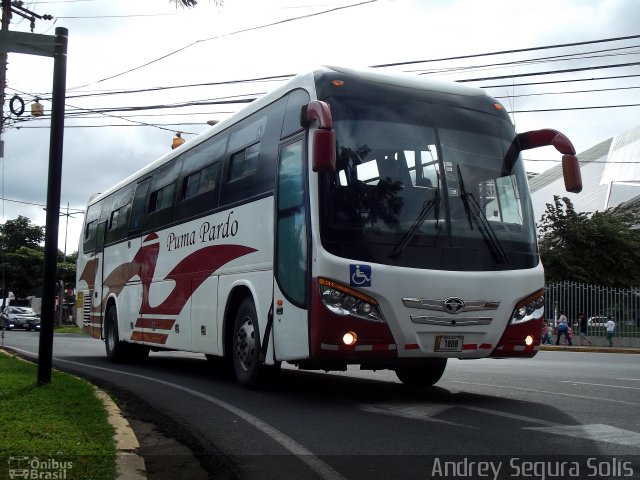 Puma Pardo LB 1808 na cidade de Mata Redonda, San José, San José, Costa Rica, por Andrey Segura Solís. Número da foto: #3856670.