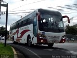 Puma Pardo LB 1808 na cidade de Mata Redonda, San José, San José, Costa Rica, por Andrey Segura Solís. Número da foto: #3856670.