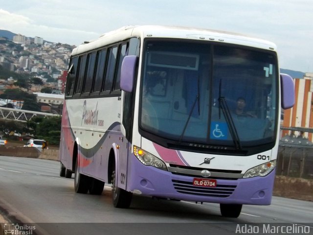 Passarela Turismo 001 na cidade de Belo Horizonte, Minas Gerais, Brasil, por Adão Raimundo Marcelino. ID da foto: 3863255.