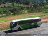 Pássaro Verde 1043 na cidade de Bom Jesus do Amparo, Minas Gerais, Brasil, por Fabrício Rodrigo Telles. Número da foto: #:id.