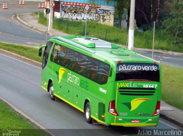 Pássaro Verde 15147 na cidade de Belo Horizonte, Minas Gerais, Brasil, por Adão Raimundo Marcelino. Número da foto: #3865797.