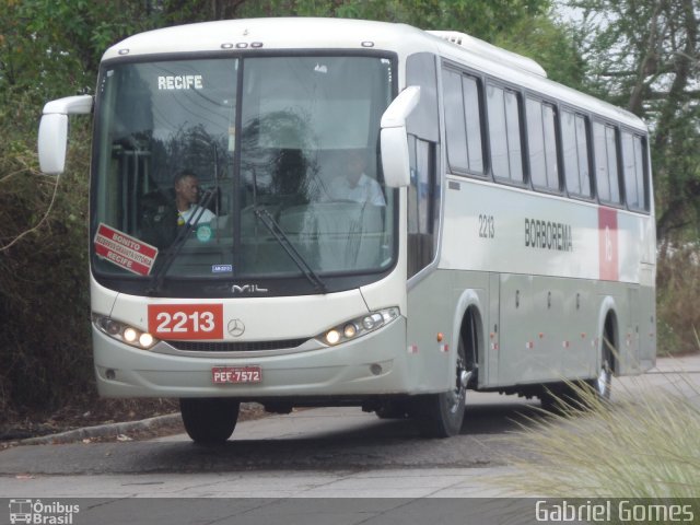 Borborema Imperial Transportes 2213 na cidade de Recife, Pernambuco, Brasil, por Gabriel  Gomes. Número da foto: #3869860.