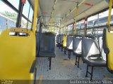 Viação Pinheiral 4466 na cidade de Pinheiral, Rio de Janeiro, Brasil, por Guilherme Afonso Sfbus. Número da foto: #3873084.