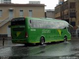 Pássaro Verde 15146 na cidade de Belo Horizonte, Minas Gerais, Brasil, por Adão Raimundo Marcelino. Número da foto: #3873569.