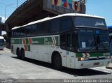 Cia. São Geraldo de Viação 6355 na cidade de Rio de Janeiro, Rio de Janeiro, Brasil, por Marcelo Candido de Oliveira. Número da foto: #3873495.