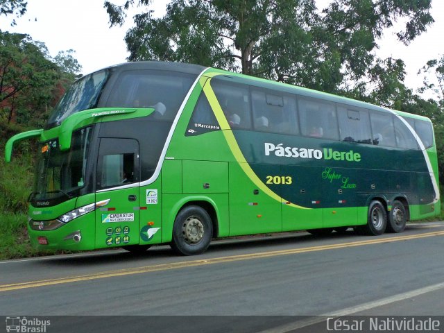 Pássaro Verde 2013 na cidade de Mariana, Minas Gerais, Brasil, por César Natividade. Número da foto: #3876691.