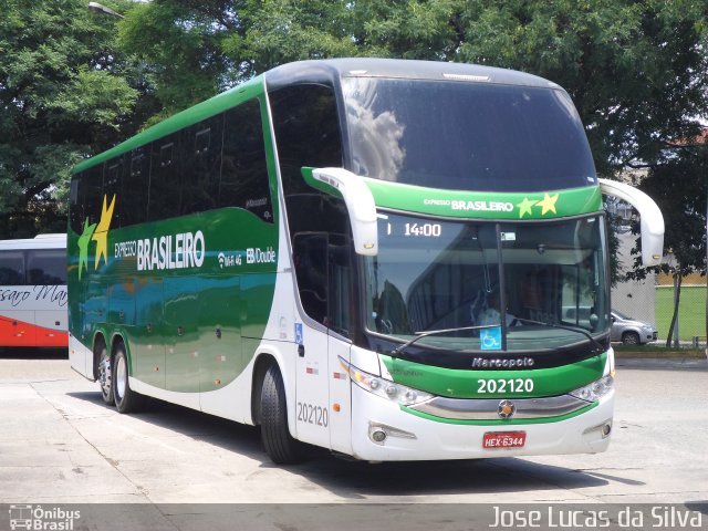 Expresso Brasileiro 202120 na cidade de São Paulo, São Paulo, Brasil, por Jose Lucas da Silva. Número da foto: #3876618.