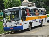 Emanuel Transportes 195 na cidade de Marechal Floriano, Espírito Santo, Brasil, por Danilo Moraes. Número da foto: #3874668.