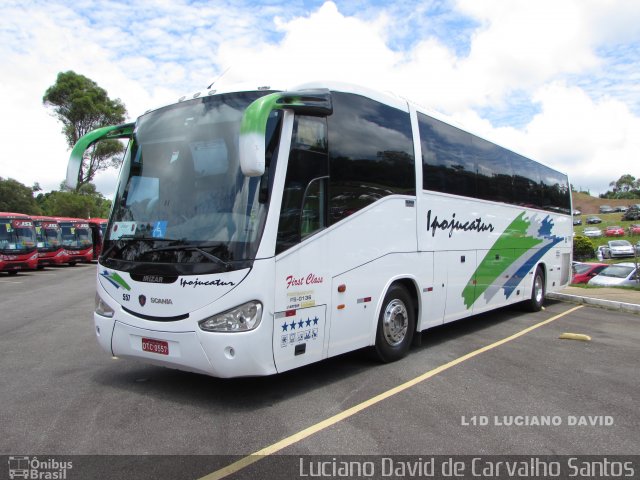 Ipojucatur 557 na cidade de Mairiporã, São Paulo, Brasil, por Luciano David de Carvalho Santos. Número da foto: #3879152.