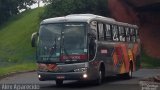 Auto Viação Ouro Verde 81212 na cidade de Campinas, São Paulo, Brasil, por Alex Aparecido. Número da foto: #:id.