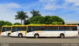 COOTEGO - Cooperativa de Transportes do Estado de Goiás 40135 na cidade de Goiânia, Goiás, Brasil, por Carlos Júnior. Número da foto: #3879215.