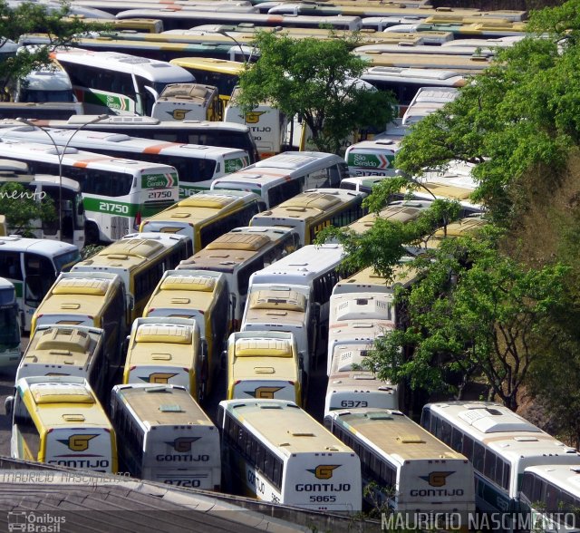 Empresa Gontijo de Transportes 9720 na cidade de Belo Horizonte, Minas Gerais, Brasil, por Maurício Nascimento. ID da foto: 3816876.