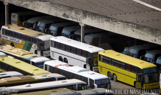 Empresa Gontijo de Transportes 9790 na cidade de Belo Horizonte, Minas Gerais, Brasil, por Maurício Nascimento. Número da foto: #3816886.
