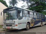 Viação Real 8197 na cidade de Paranavaí, Paraná, Brasil, por Robson Alves. Número da foto: #3882516.