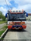 Ônibus Particulares 0327 na cidade de Pelotas, Rio Grande do Sul, Brasil, por Henrique  Varzim. Número da foto: #3880513.