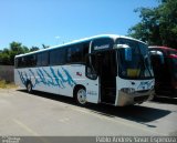 Buin - Paine 35 na cidade de Santa Cruz, Colchagua, Libertador General Bernardo O'Higgins, Chile, por Pablo Andres Yavar Espinoza. Número da foto: #3817011.