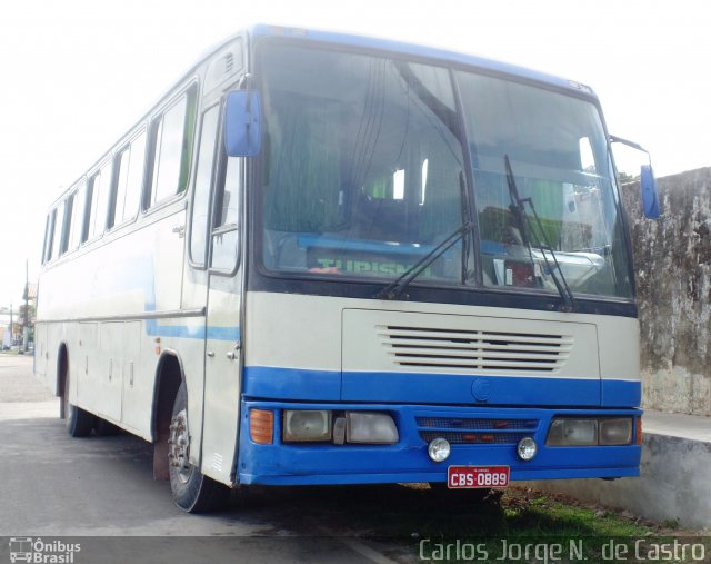 Arthurismo CBS0889 na cidade de Maracanã, Pará, Brasil, por Carlos Jorge N.  de Castro. Número da foto: #3820551.