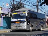 Tenobus 012 na cidade de Santa Cruz, Colchagua, Libertador General Bernardo O'Higgins, Chile, por Pablo Andres Yavar Espinoza. Número da foto: #3821419.