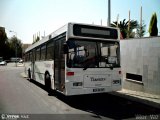 Caima 10251 na cidade de Ovar, Aveiro, Portugal, por Vítor Vaz. Número da foto: #3820999.