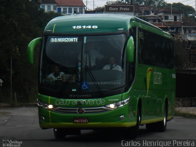 Pássaro Verde 15146 na cidade de Ouro Preto, Minas Gerais, Brasil, por Carlos Henrique Pereira. Número da foto: #3828342.