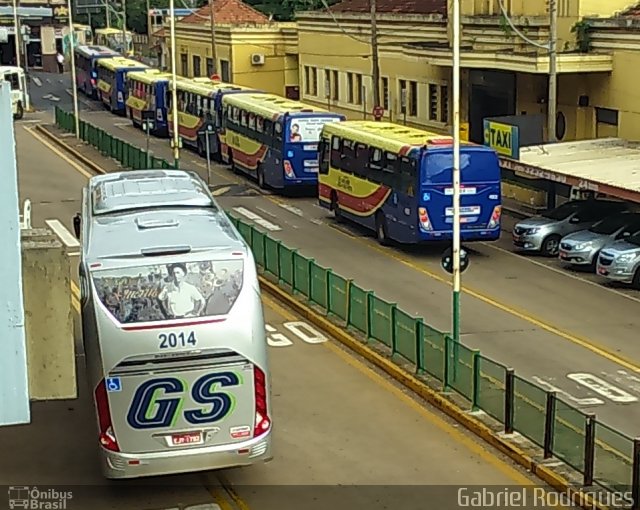 Guerino Seiscento 2014 na cidade de São José do Rio Preto, São Paulo, Brasil, por Gabriel Rodrigues. Número da foto: #3826572.