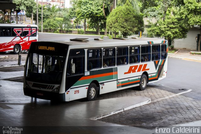 RIL - Rodoviário Ibitinguense Ltda. 275 na cidade de Bauru, São Paulo, Brasil, por Enzo Caldeirini Saiar. ID da foto: 3827933.