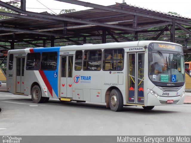 TransTupi Turismo e Fretamento 244 na cidade de Curitiba, Paraná, Brasil, por Matheus Geyger de Melo. Número da foto: #3828771.
