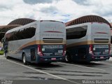Bia Turismo > Aellos de Ouro 8218 na cidade de Aparecida, São Paulo, Brasil, por Mateus Machado. Número da foto: #3830540.