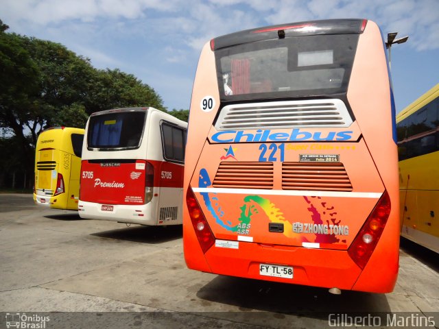 Chilebus Internacional 221 na cidade de São Paulo, São Paulo, Brasil, por Gilberto Martins. ID da foto: 3106169.