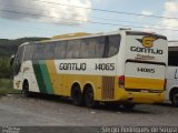 Empresa Gontijo de Transportes 14065 na cidade de Roseira, São Paulo, Brasil, por Sergio Rodrigues de Souza. Número da foto: #3105312.