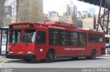 Roosevelt Island Operating Corporation 3 na cidade de New York, New York, Estados Unidos, por Lucas S.  Pereira. ID da foto: :id.