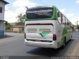Pássaro Verde 26017 na cidade de Ouro Preto, Minas Gerais, Brasil, por Eloísio Pereira Ribeiro. Número da foto: #:id.