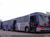 Viação Boa Vista BV-7101 na cidade de Monte Mor, São Paulo, Brasil, por Thiago Santos. Número da foto: #3132980.