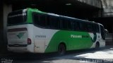 Pássaro Verde 29006 na cidade de Belo Horizonte, Minas Gerais, Brasil, por Daniel Junior Sena. Número da foto: #:id.